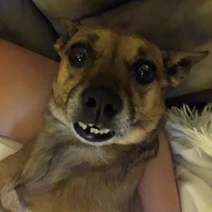 Meet your Posher, Patsy